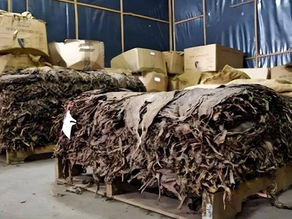 烟草熏蒸行业气体监测解决方案